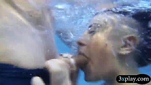 teen besties slobber wet blowjobs then get drilled hard in poolside 4some
