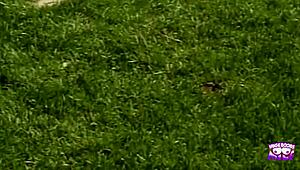 i... she gets drilled deep in field then swallows cum from big cock!!