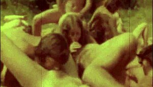 Vintage porn challenge pits 1860s against 1960s beaver contest.