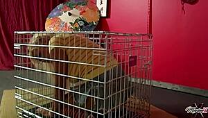 Super submissive maxine x gets out of the cage