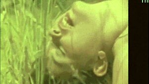 Vintage porn challenge pits 1860s against 1960s beaver contest.