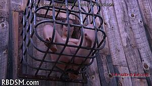 Bdsm Electro Castigation