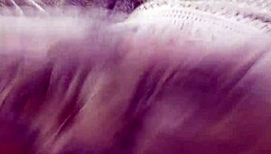 hairy mature shows upskirt on carriage ride
