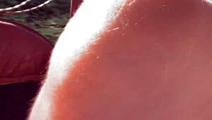 hairy mature shows upskirt on carriage ride