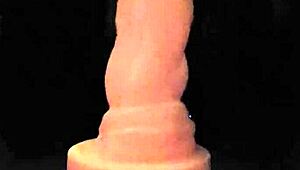 My new 13 5 inch bulldog dildo