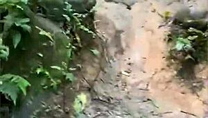 Three girls head into the woods to play