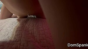 Latina babe sucks my cock crazy and stretches her pussy 😈