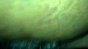 trim 431955cc-c5de-43ad-877c-731a23aca8c5 mov
