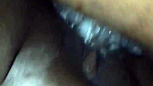 trim 431955cc-c5de-43ad-877c-731a23aca8c5 mov