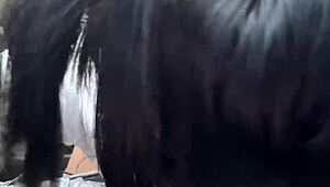 A stranger helps me transporting me and my only way to pay is to give him a sloppy blowjob