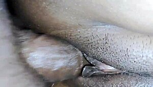 Pakistani beautiful stepmom hard fast sex