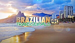 Brazilian-transsexuals feminine gabriela estela shows perfect body